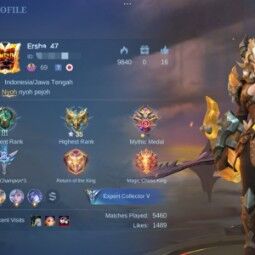 #271NF | Lv 99 - Heroes 114 Skins 134 . 1 KOF . 1 Collector . 9 Epic Shop . 2 Lightborn . 15 Special . 1 MSC . Emblem All Maxs 0